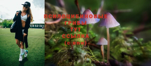 mdpv Зеленодольск