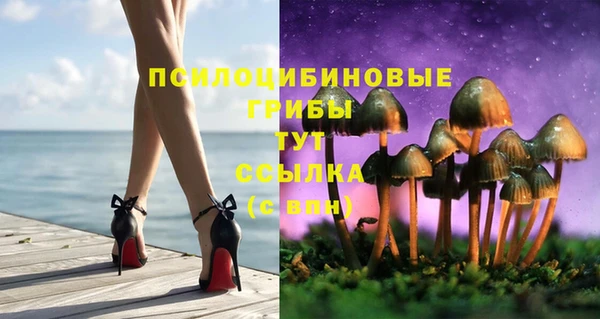 mdpv Зеленодольск