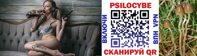 нарко площадка Telegram Сельцо Галлюциногенные грибы Magic Shrooms закладка