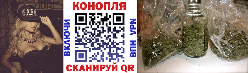 Конопля OG Kush  сколько стоит  Сельцо 